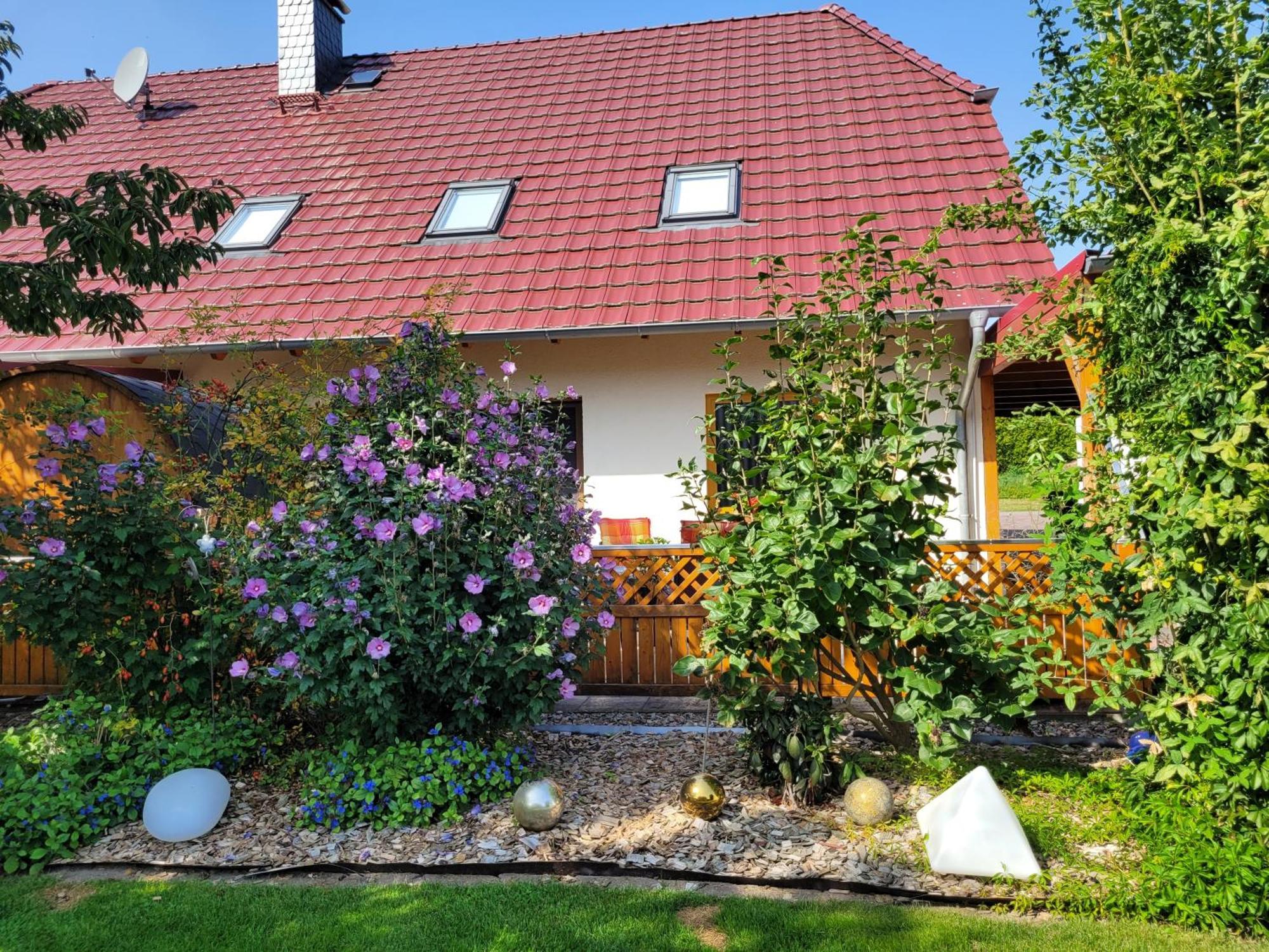 Ferienwohnung Halle Halle  Extérieur photo